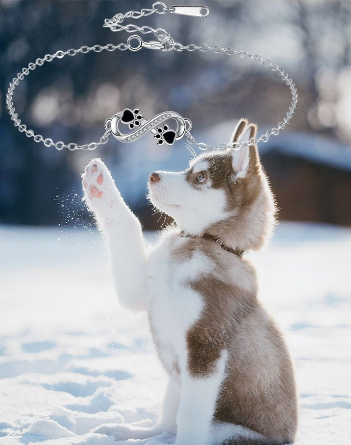 Ciondolo simbolo infinito Bracciale con zampa di animale domestico e zirconi